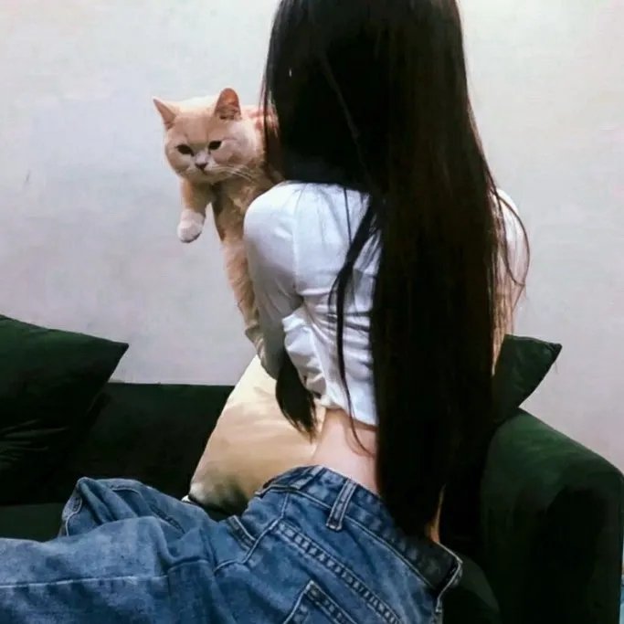 众星拱月
